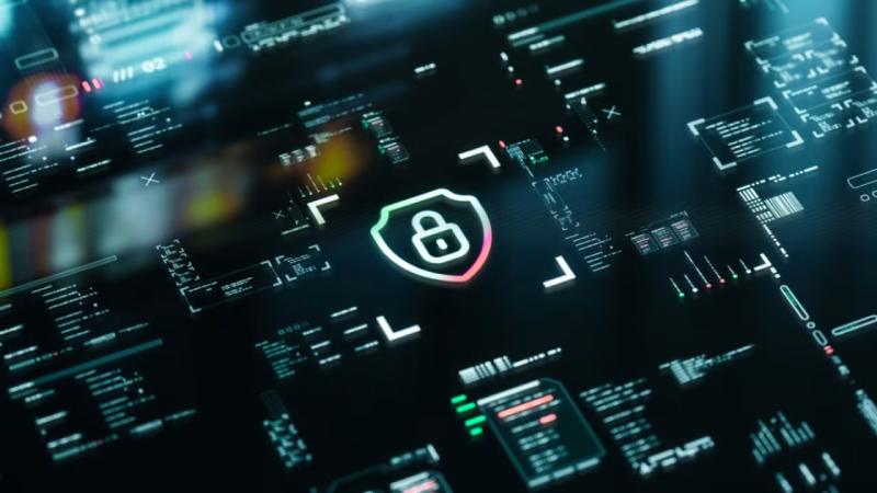 陇西县软件开发公司